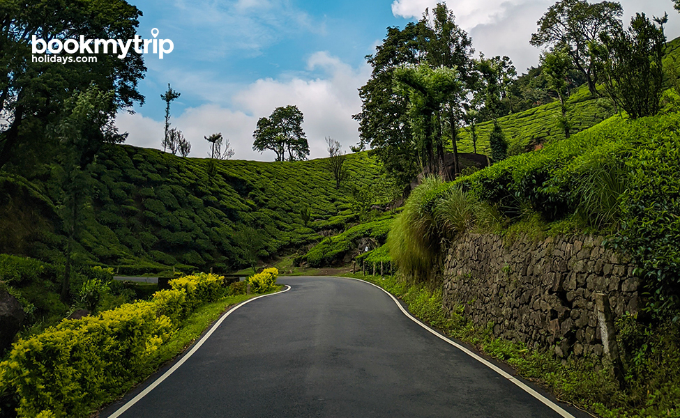 Bookmytripholidays | Scenic evergreen Western ghats | Family Holidays tour packages